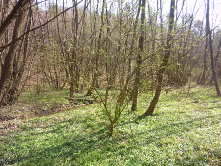 2014. március