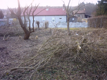 2015. március